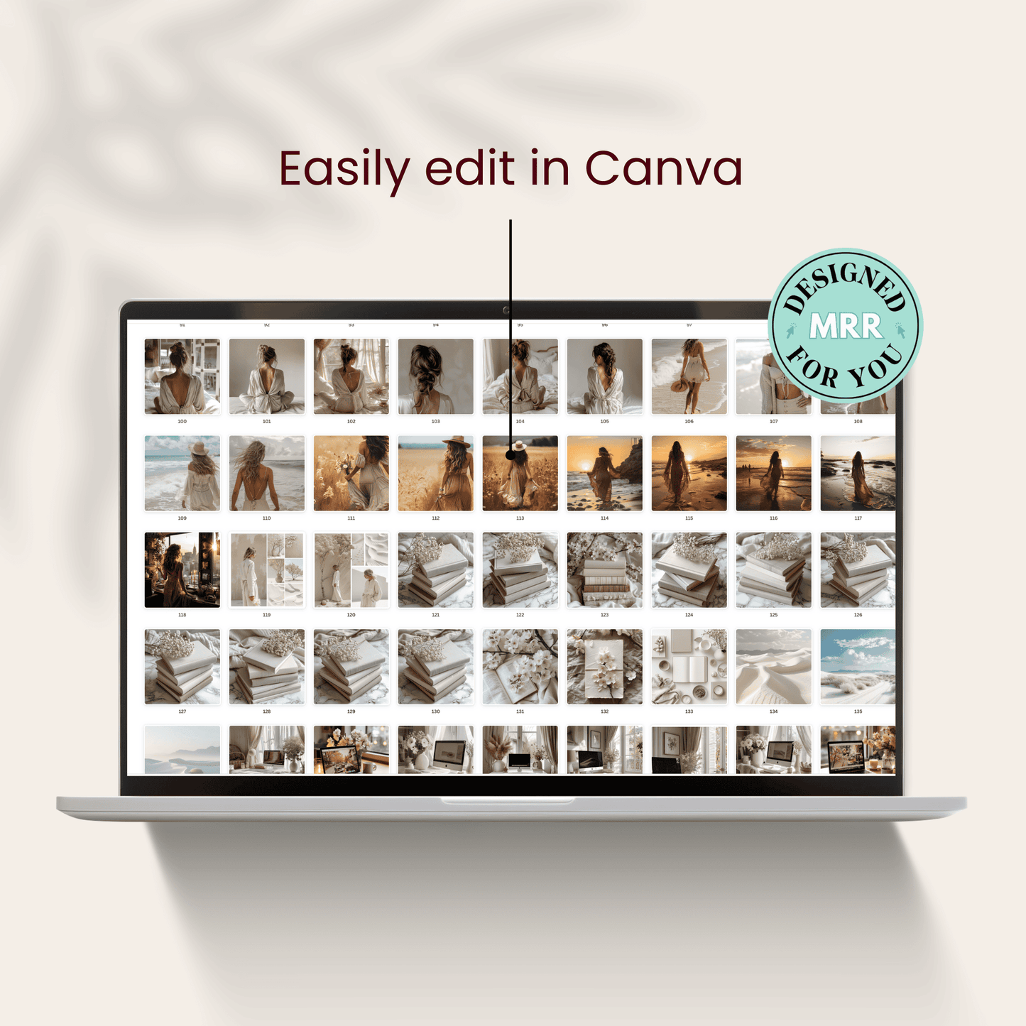 1600+ Ultimate Stock Imagery Collection with MRR