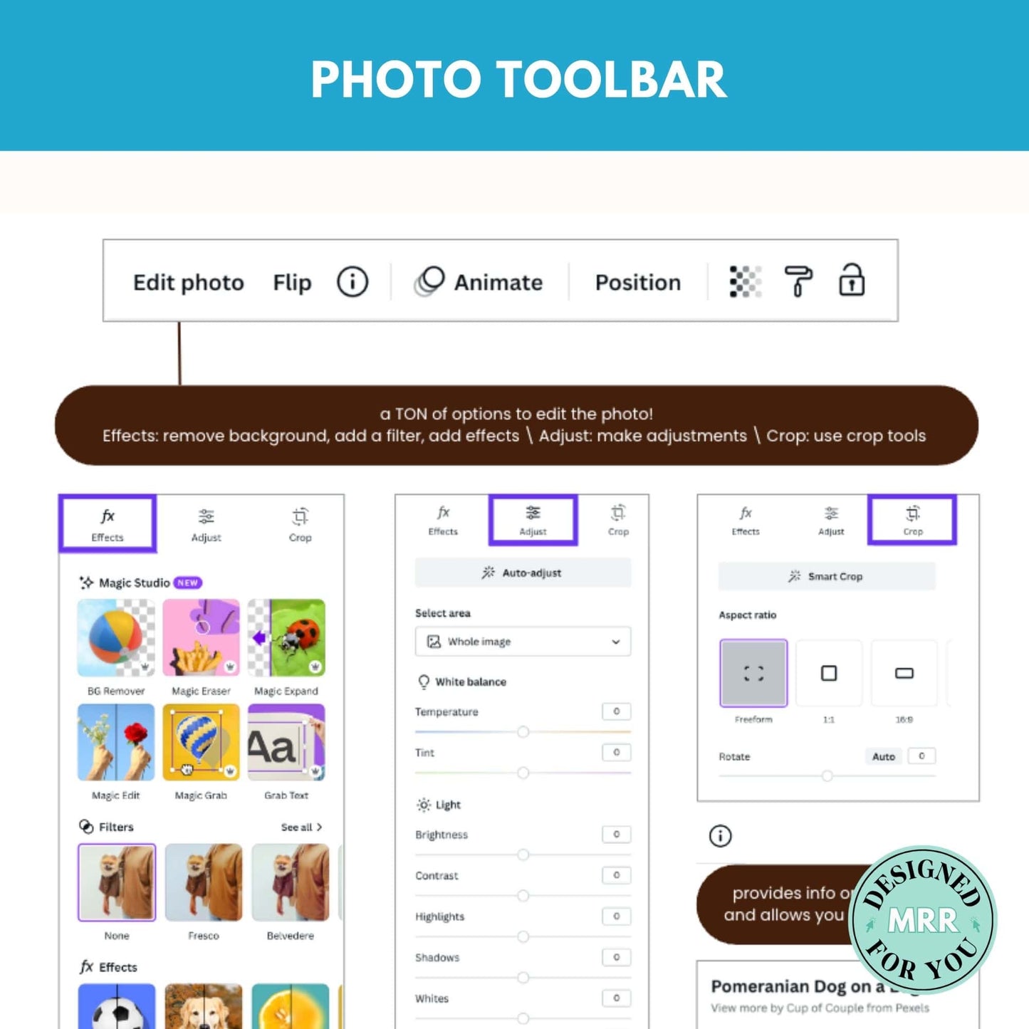 The Ultimate Canva Guide with MRR