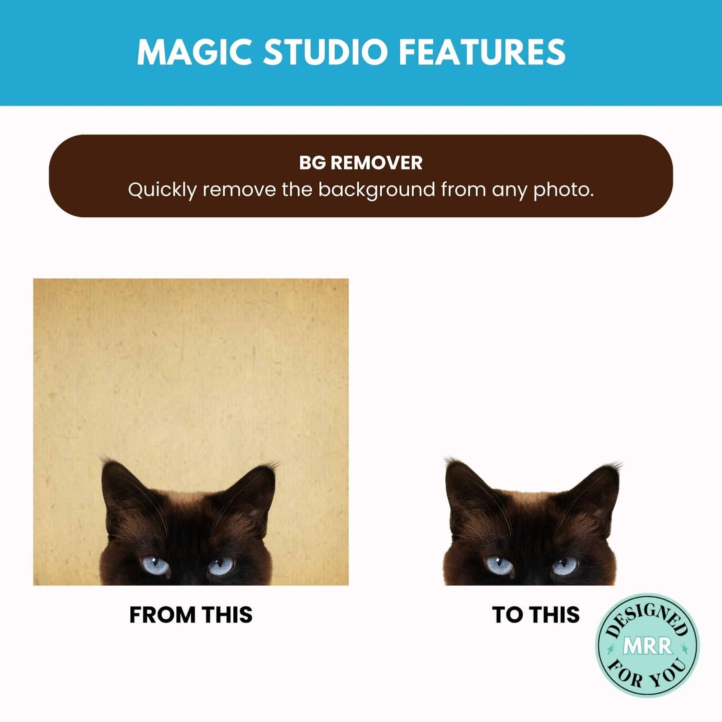 The Ultimate Canva Guide with MRR