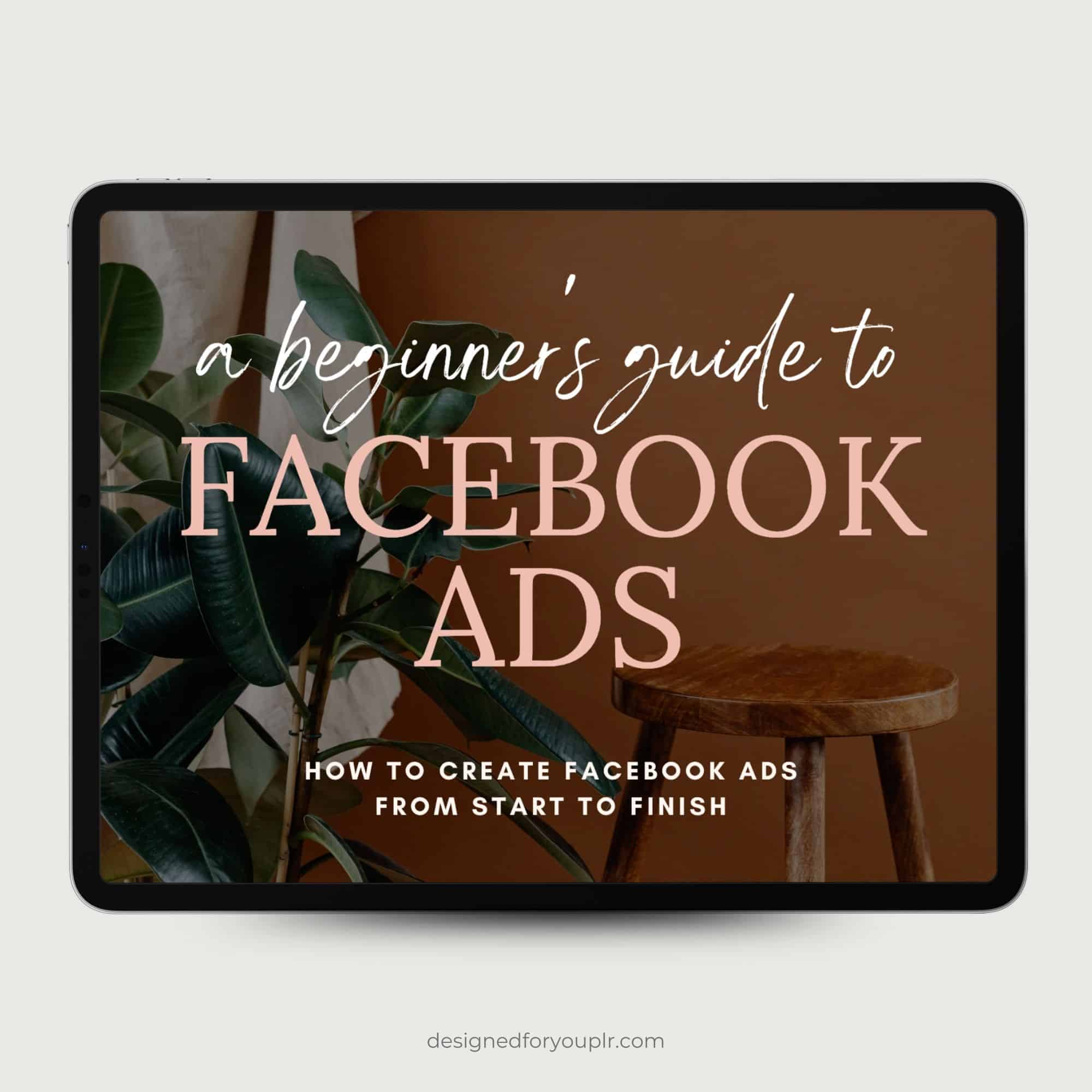 A Beginner's Guide to Facebook Ads with MRR – Designed For You To Sell